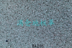 天津BA205