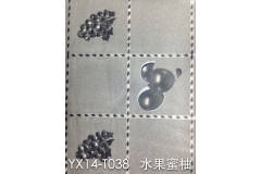 天津YX14-TO38 水果蜜柚